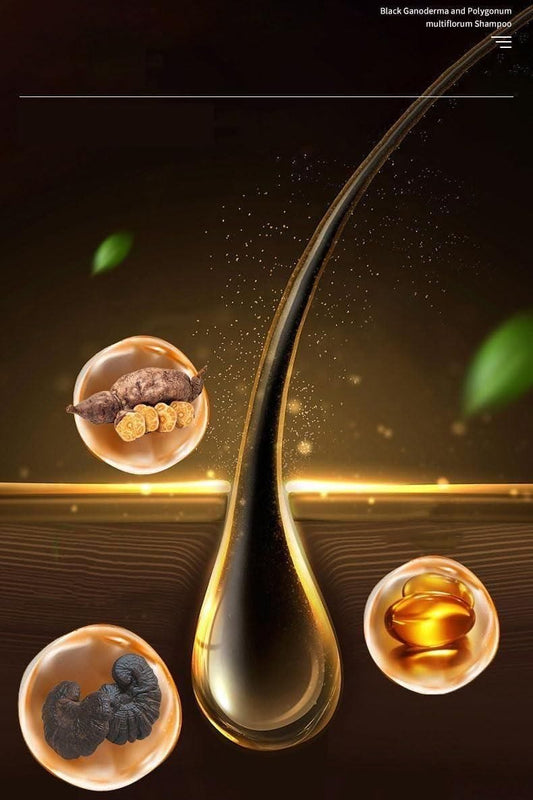 Gingerra™️Ginger Extract Anti-Hairfall Shampoo (Pack of 3)